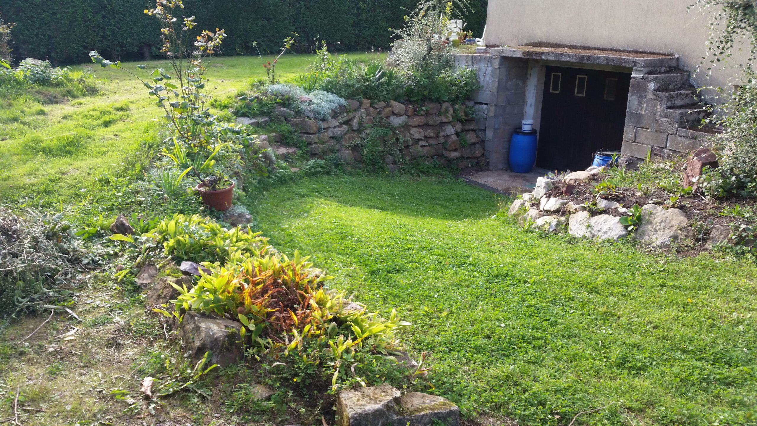 Entrée en herbe qui va être modifier en entrée pavé